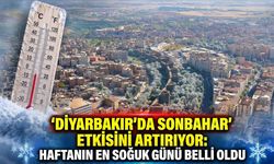 Diyarbakır'da sonbahar etkisini artırıyor: Haftanın en soğuk günü belli oldu