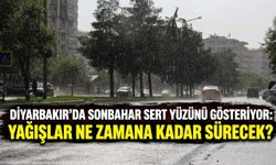 Diyarbakır'da sonbahar sert yüzünü gösteriyor: Yağışlar ne zamana kadar sürecek?