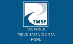 TMSF, fon denetimi için 75 personel alacak