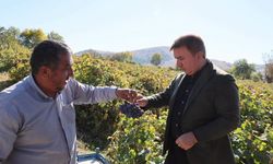 Vali, üzüm hasadına katılan üreticilerle buluştu