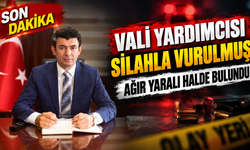 Vali yardımcısı silahla vurulmuş halde bulundu