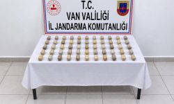 Van'da mide ve bağırsağından 55 kapsül çıktı