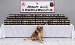 Diyarbakır’da kaçakçılık operasyonları