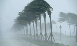 Meteorolojiden Siirt ve Şırnak için 'fırtına' uyarısı