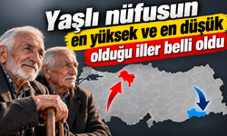 Yaşlı nüfusun en yüksek ve en düşük olduğu iller belli oldu