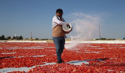 Diyarbakır'da yılda 35 bin ton üretilip ithal ediyor!