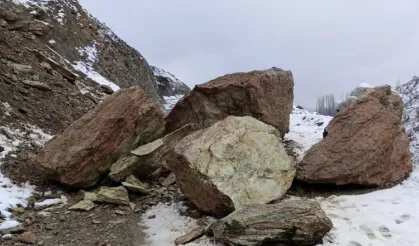 Kulp’ta yamaçlardan yollara düşen kayalar temizlendi