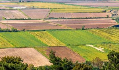 Diyarbakır'da 3 tarla icradan satışa çıkarıldı