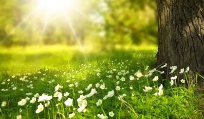 İkinci ve üçüncü cemre ne zaman düşecek?