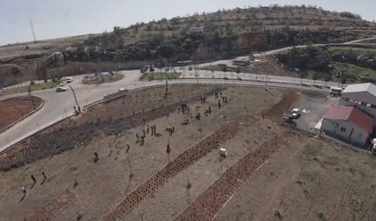 Diyarbakır’ın ilçesinde “Narin Hatıra Ormanı” için ilk fidan dikildi