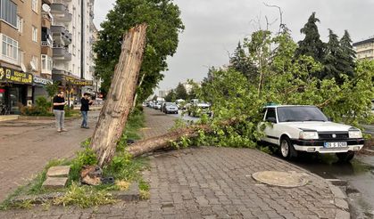 Diyarbakır’da fırtına: Ağaç aracın üzerine devrildi