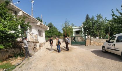 Merani Ziyareti yolu yenilenerek düzenli hale getirildi