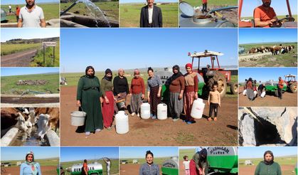 Toytarlası Mahallesi sorunlarına çare istiyor