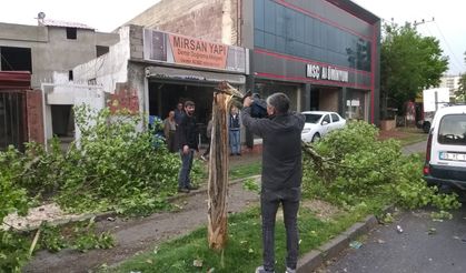 Kayapınar'da fırtınanın bilançosu ağır oldu
