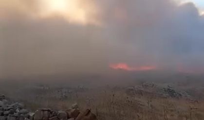 Çermik’te çıkan örtü yangını söndürüldü