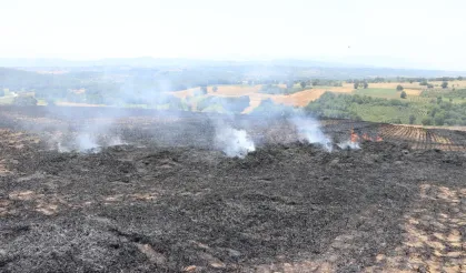 Dicle'de 100 dönüm ekili arazi kül oldu
