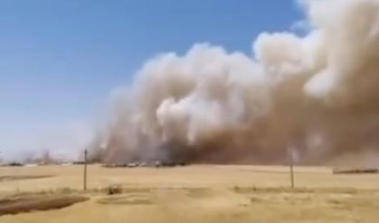 Diyarbakır'da bin dekarlık buğday tarlası kül oldu