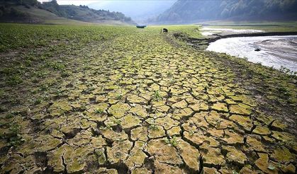 Her yıl yaklaşık 1 milyon kilometrekare verimli toprak kullanılamaz hale geliyor