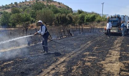 Kulp’ta yangın yerleşim alanına sıçramadan söndürüldü