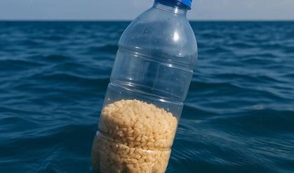 Gazze'yle sessiz dayanışma: Sizi unutmadık, özür dileriz