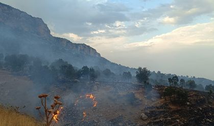 Diyarbakır'da çıkan yangında yüzlerce dönüm arazi zarar gördü