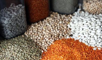Güneydoğu'nun Afrika ülkelerine hububat ihracatı yüzde 32,9 arttı