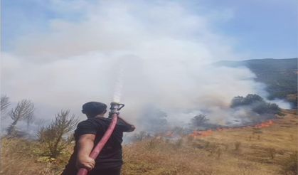 Bingöl’de çıkan kırsal alan yangını kontrol altına alındı