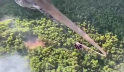 Bingöl'de çıkan orman yangını söndürüldü