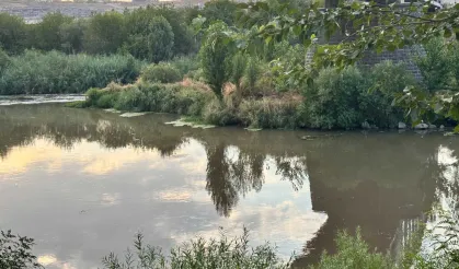 Dicle Nehri'ne karışan atık sular sağlık sorunlarına yol açıyor