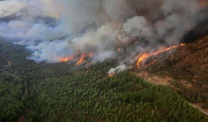 Hakkâri'de orman yangını ikinci gününde