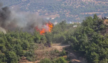 Hatay'da orman yangını