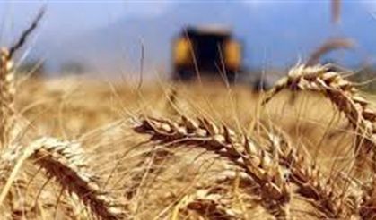 Son aylardaki yüksek sıcaklıklar tarım ve çevreyi olumsuz etkiliyor