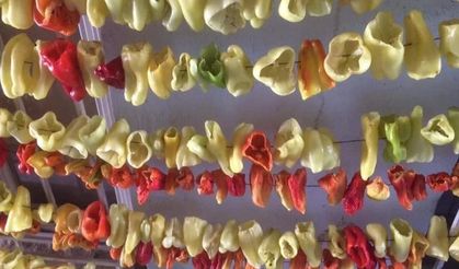 Diyarbakır'da kış hazırlığı: Geleneksel yöntemle sebzeler kurutuluyor