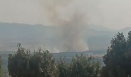 Diyarbakır'da 4 farklı noktada örtü yangını