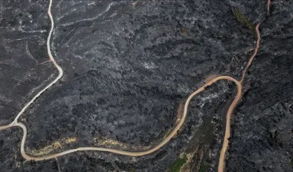 Orman mühendislerinden yanan alanlara ilişkin 'ekolojik denge' uyarısı