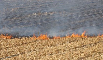 Silvan'da anız yangını: Onlarca dönüm alan kül oldu