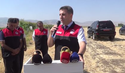 Muş'ta karpuz hasadı başladı: 2 milyar liralık gelir bekleniyor