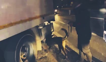 Van'da 113 kilogram narkotik madde ele geçirildi