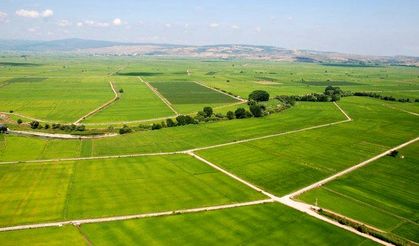 Diyarbakır'da 2,4 Milyon TL’lik tarla açık artırmayla satışta