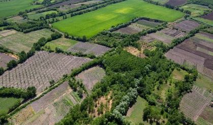 Diyarbakır'da arazi toplulaştırma askı süreci başladı