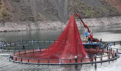 Diyarbakır'da 500 ton kapasiteli balık üretim tesisi ihracata başlayacak