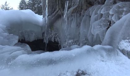 Erzurum, Ardahan ve Kars'ta soğuk hava dondurdu