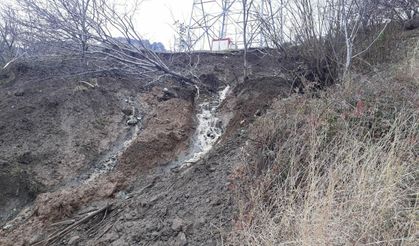 Hastalandığında ölmek için sinyal gönderen canlı...