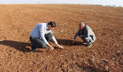 Toprak ve su kaybı gıda güvenliğini tehdit ediyor