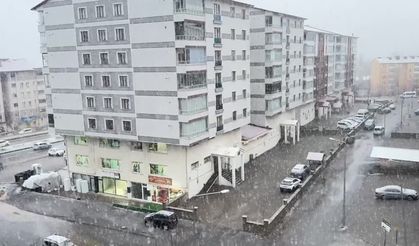 Van ve Bitlis’te kar yağışı etkili oldu