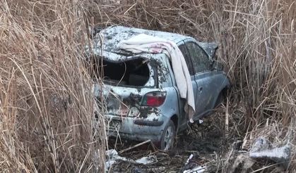 Van’da otomobil sazlık alana düştü: 5 yaralı