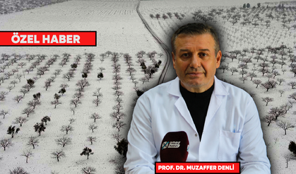 Prof. Dr. Denli: Bu yıl yağan kar tarıma can suyu oldu