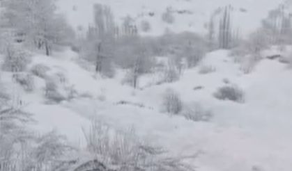 Yüksekova’da düşen çığ köye kadar ulaştı