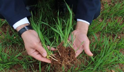 Yağışlar yüzde 150 arttı, Hasılat beklentisi yükseldi