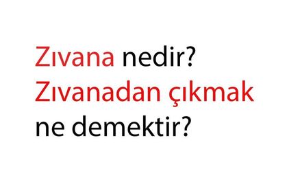 Zıvana nedir? Zıvanadan çıkmak deyiminin hikayesi nereden gelir?